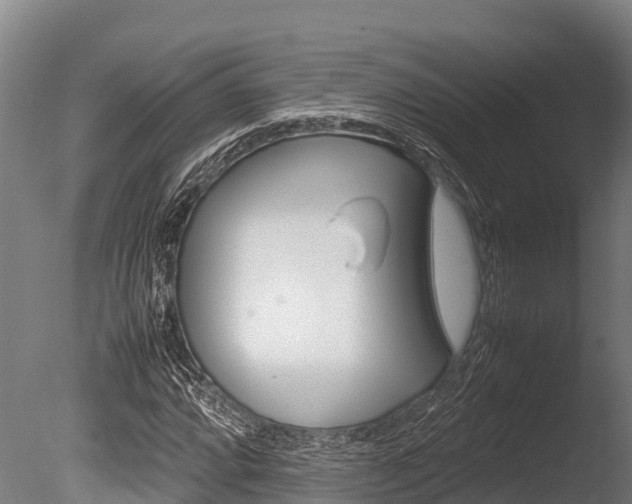 X0000086061064200703230941