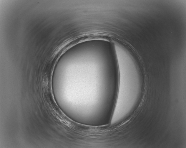 X0000086061065200703230941