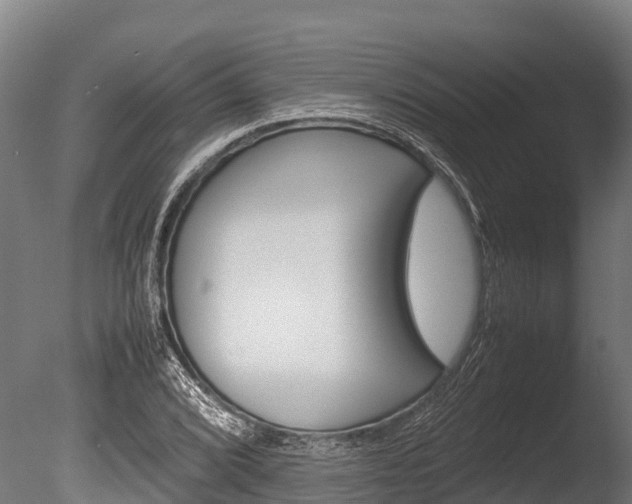 X0000086061072200703230941