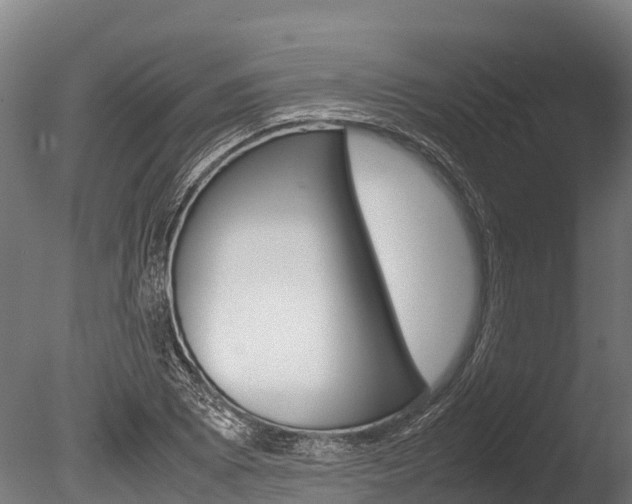 X0000086061073200703230941