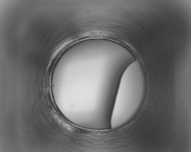 X0000086061075200703230941