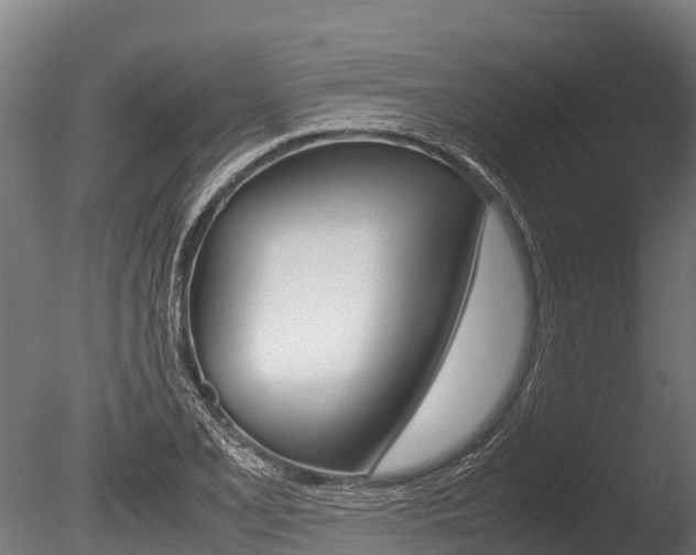 X0000086061077200703230941