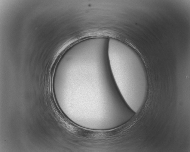 X0000086061079200703230941