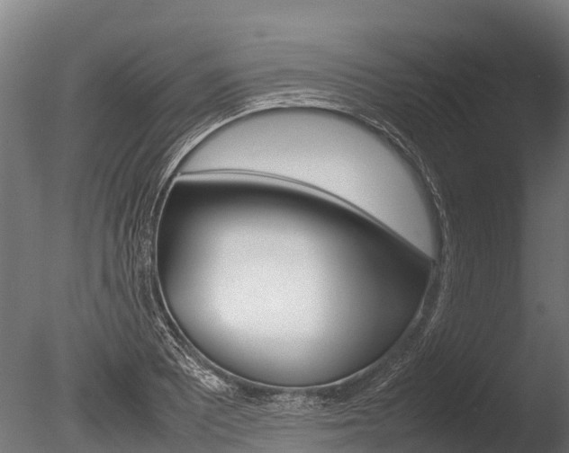 X0000086061081200703230941