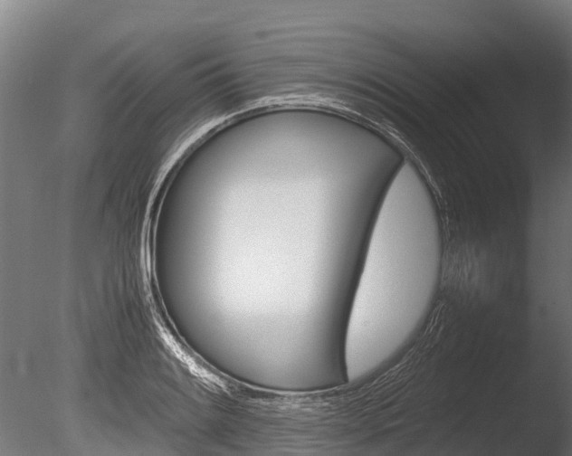 X0000086061084200703230941