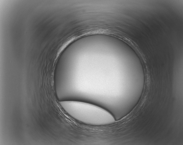 X0000086061097200703230940