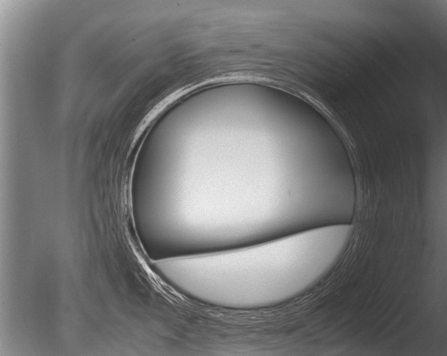 X0000086061101200703230940