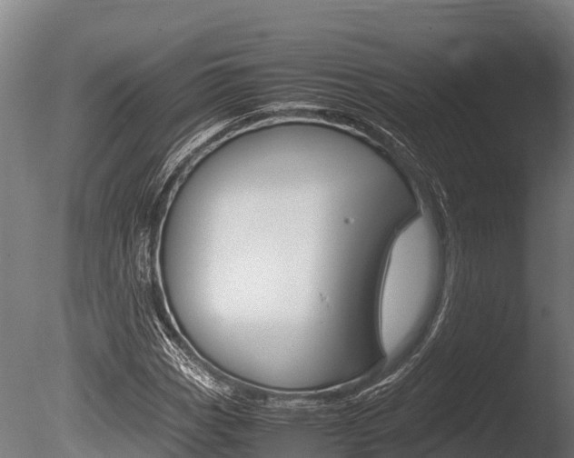 X0000086061113200703230940