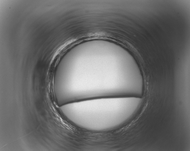 X0000086061117200703230940