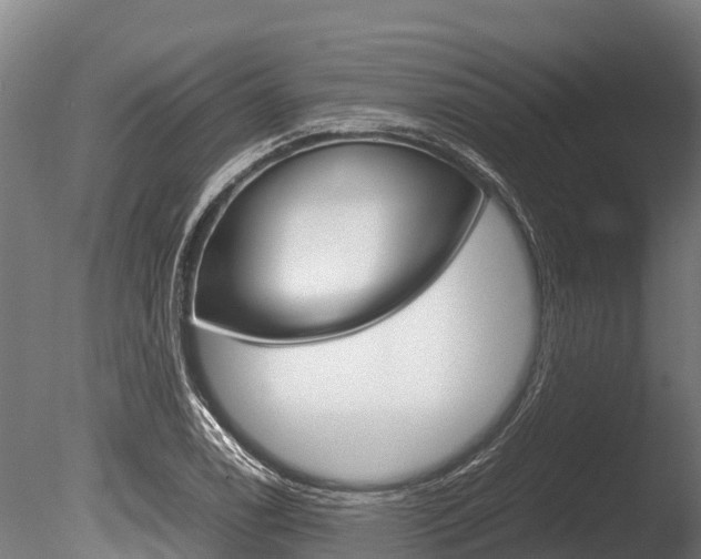 X0000086061122200703230940