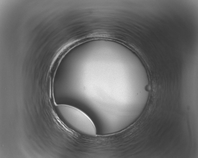 X0000086061123200703230940