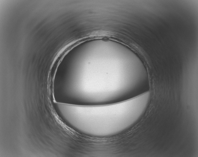 X0000086061124200703230940