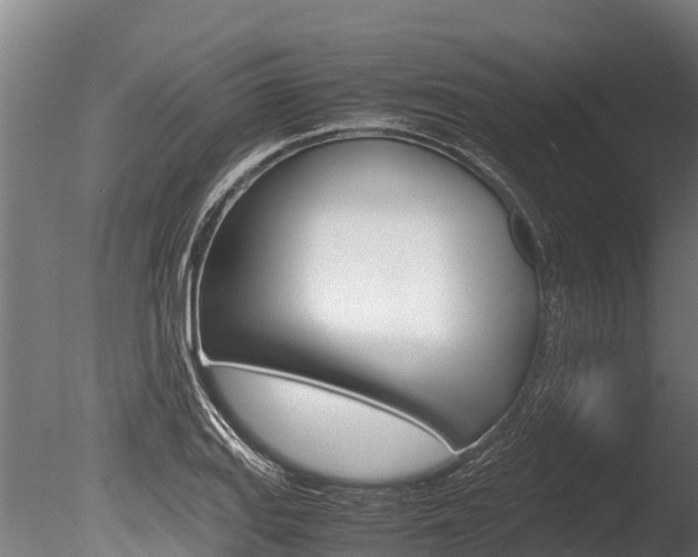 X0000086061127200703230940