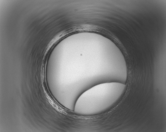 X0000086061130200703230940