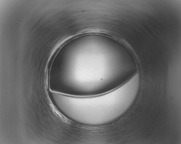 X0000086061132200703230940