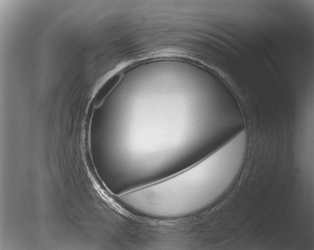 X0000086061134200703230940