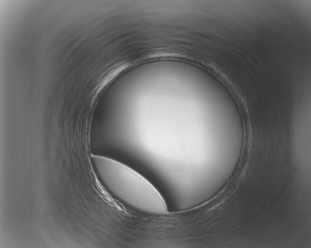 X0000086061137200703230940