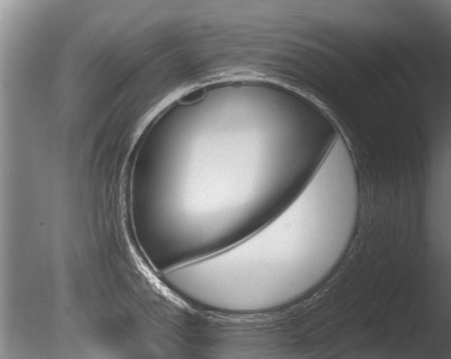 X0000086061142200703230940