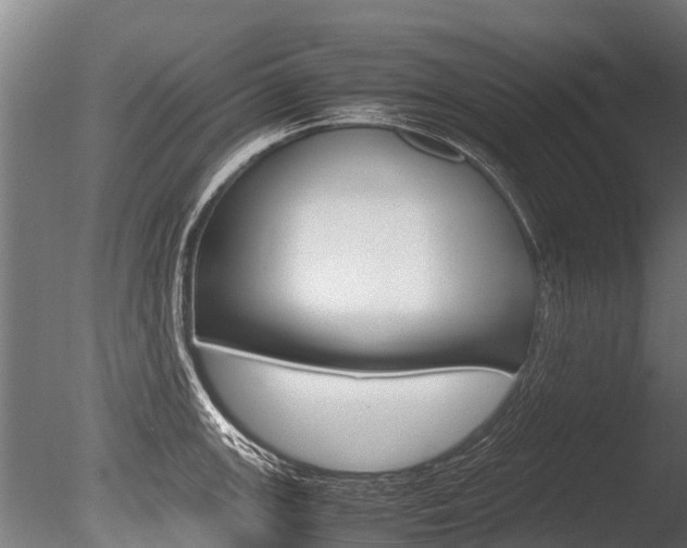 X0000086061147200703230940