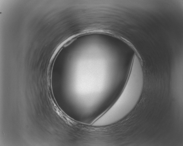 X0000086061148200703230940
