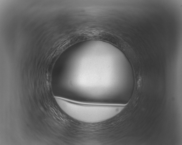 X0000086061156200703230939