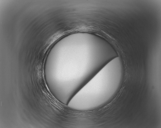 X0000086061170200703230939