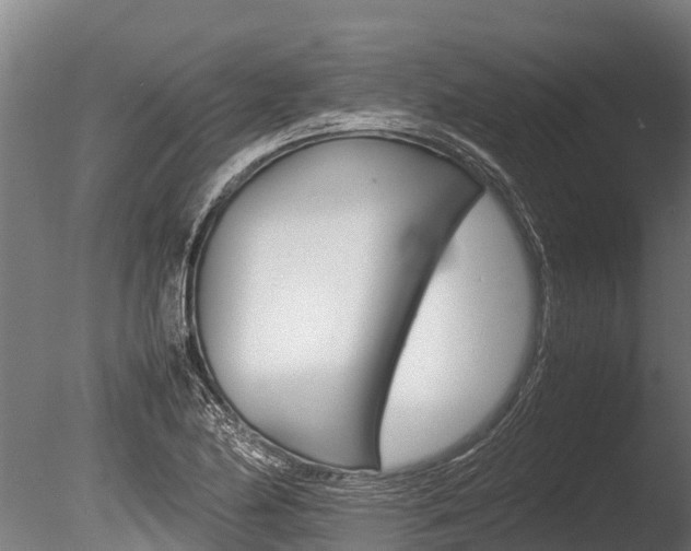 X0000086061174200703230939