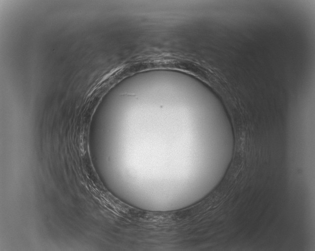 X0000086061205200703230938