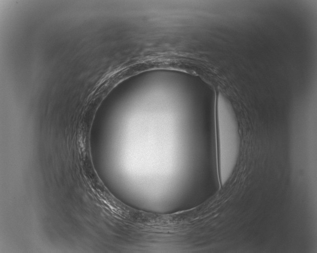 X0000086061206200703230938