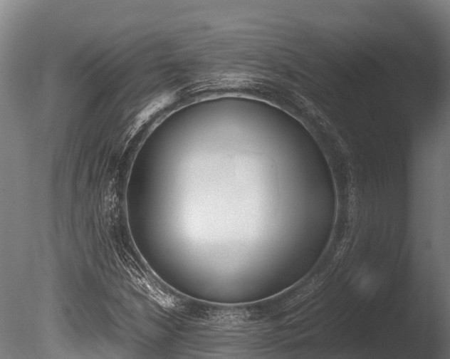 X0000086061210200703230938