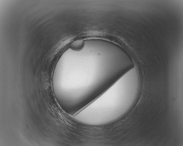 X0000086061213200703230938