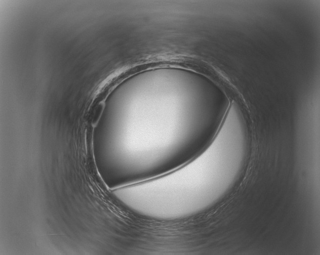 X0000086061214200703230938