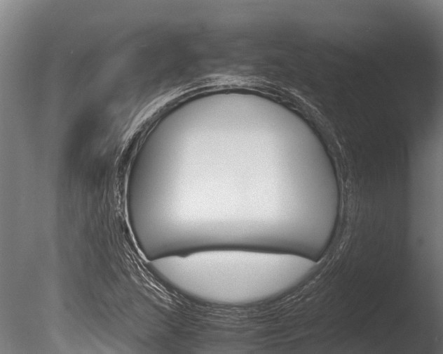 X0000086061215200703230938