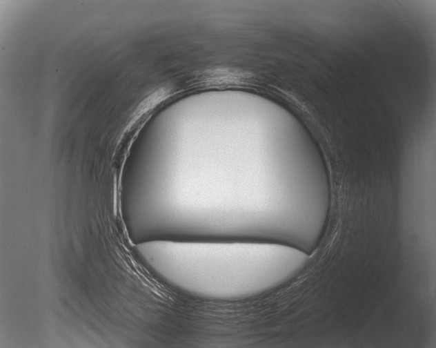X0000086061219200703230938