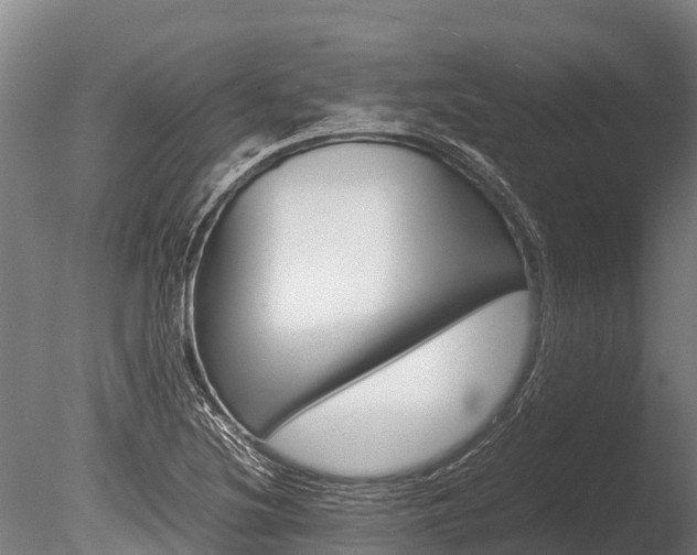 X0000086061220200703230938