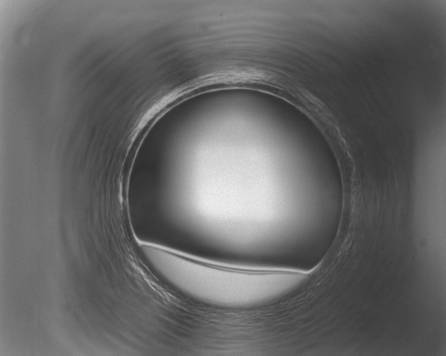 X0000086061226200703230938