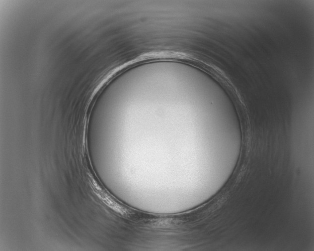 X0000086061228200703230938