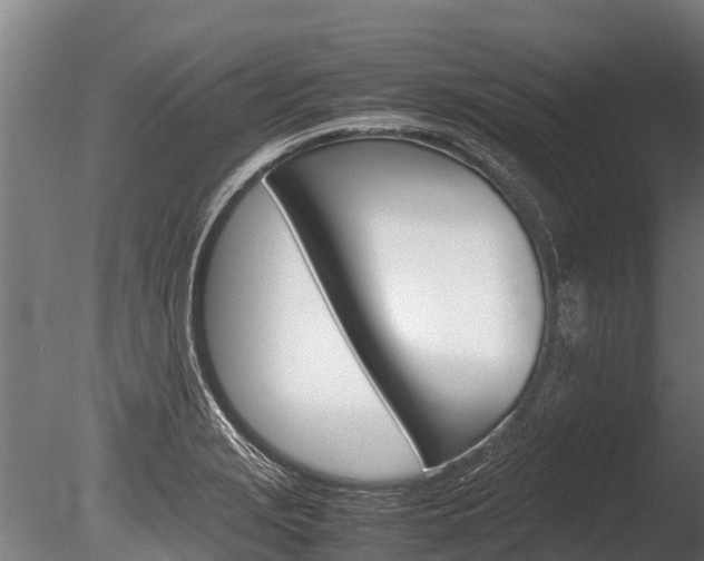 X0000086061229200703230938