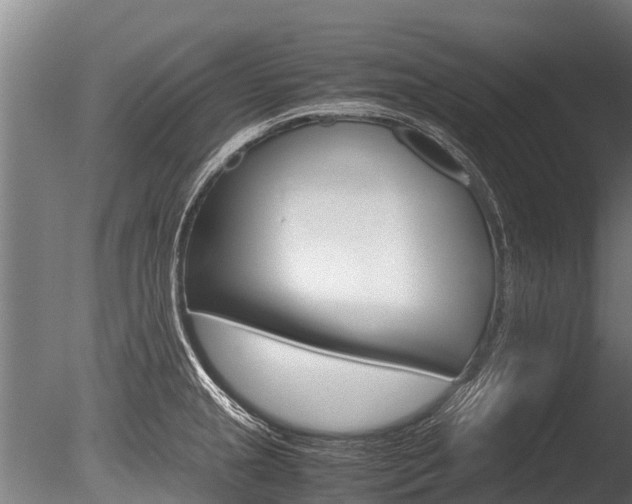 X0000086061237200703230938