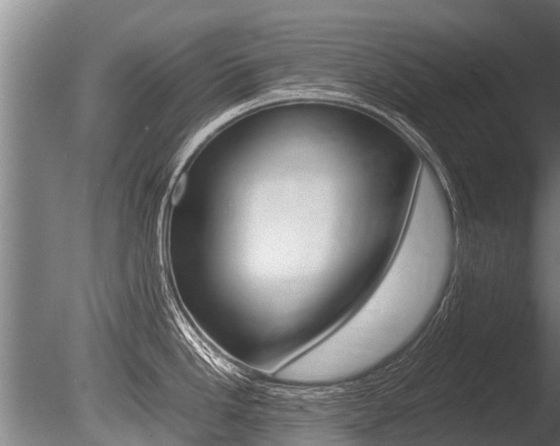 X0000086061246200703230939