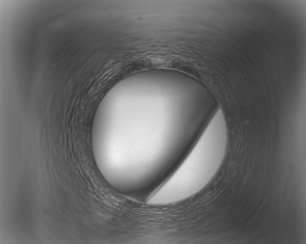 X0000086061249200703230938