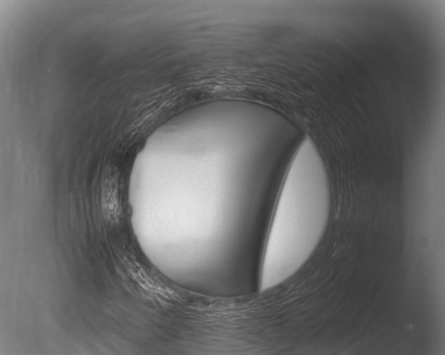 X0000086061250200703230938