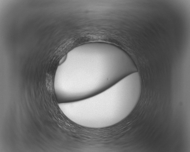 X0000086061251200703230938