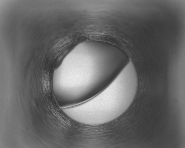 X0000086061252200703230938