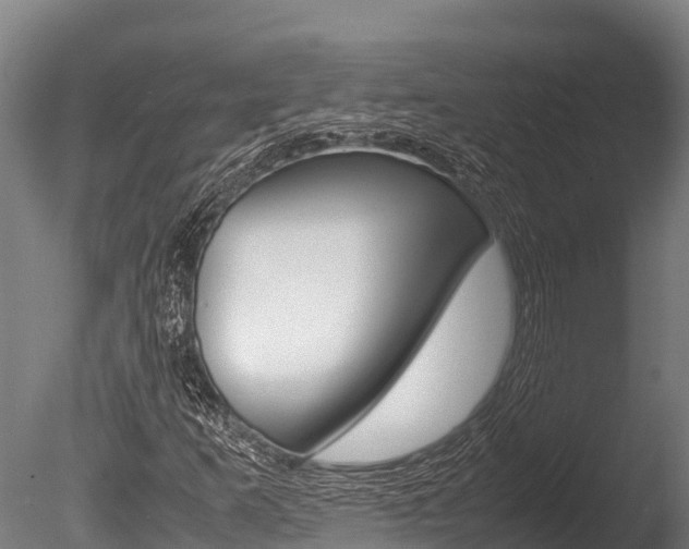 X0000086061253200703230938