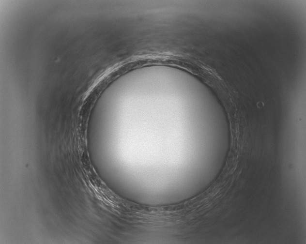 X0000086061256200703230938
