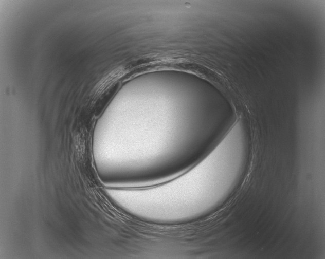 X0000086061257200703230938