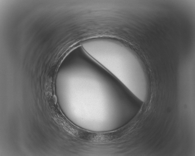 X0000086061265200703230937