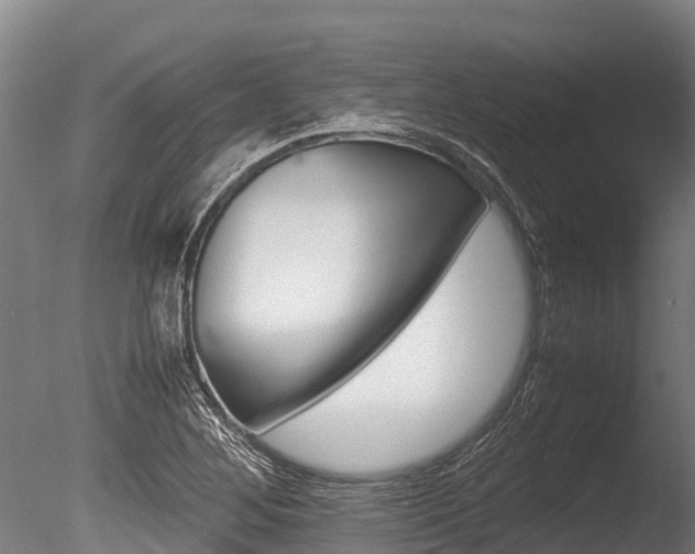 X0000086061268200703230937