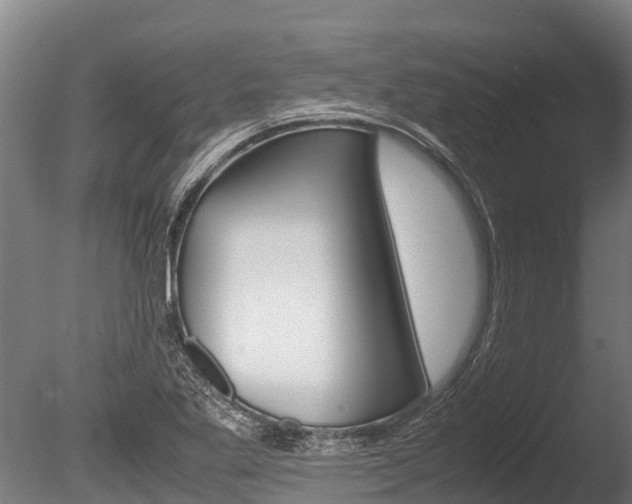 X0000086061269200703230937